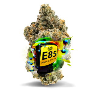 E85