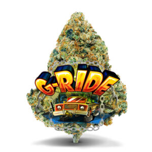 G-Ride