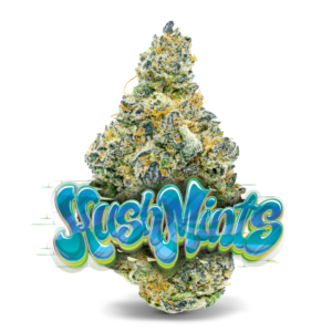 Kush Mints
