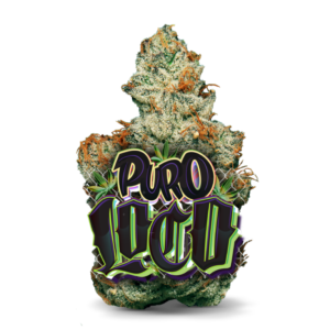 Puro Loco